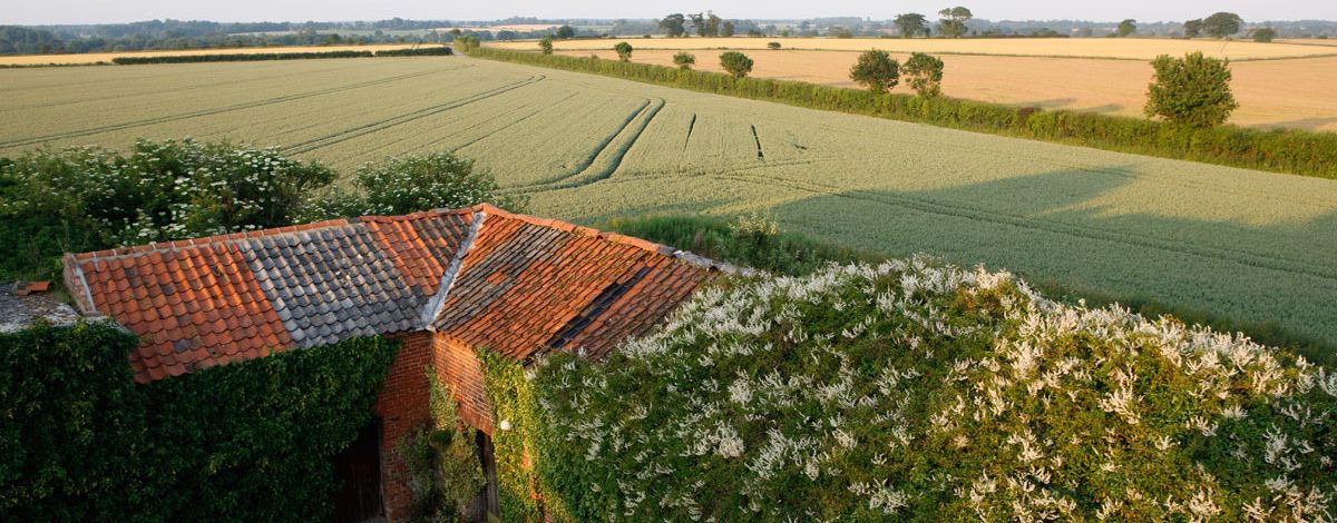 Photo of Outdoor in Aldborough