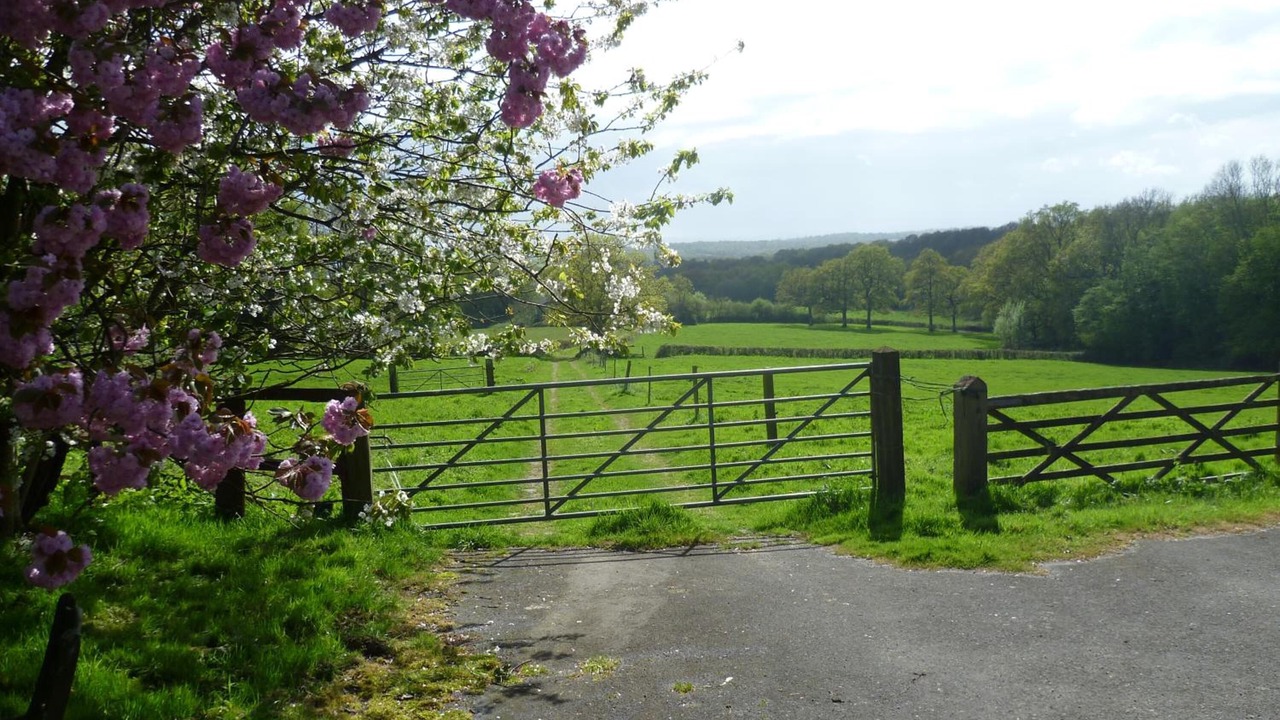 Photo of Outdoor in Danehill