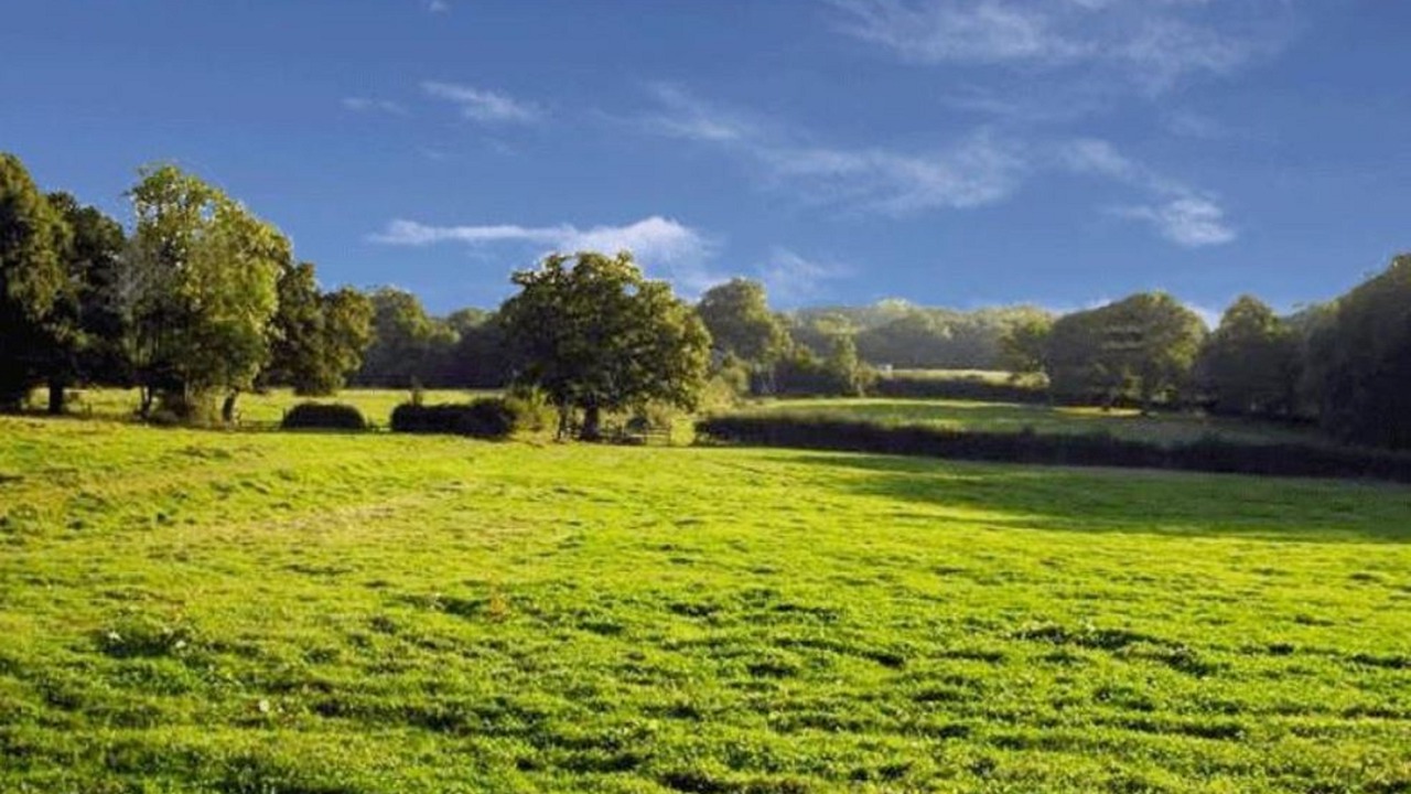 Photo of Others in Danehill