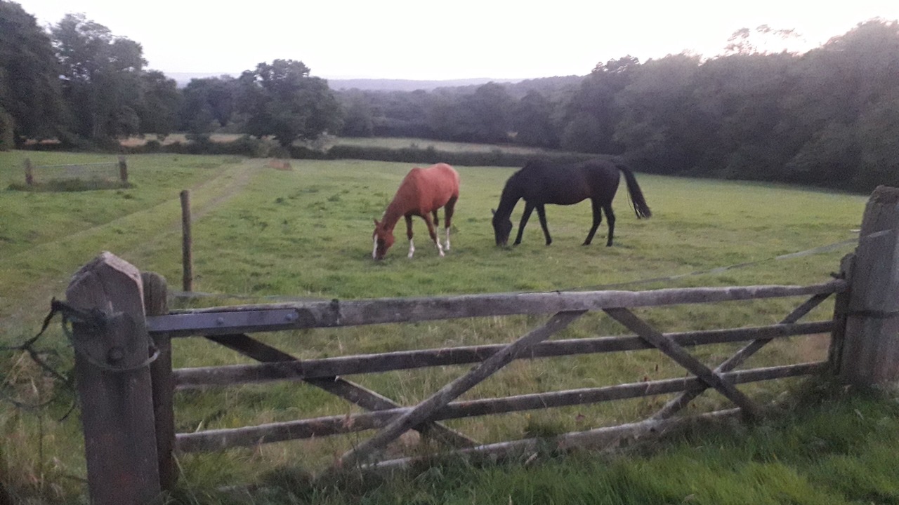 Photo of Patio Balcony in Danehill