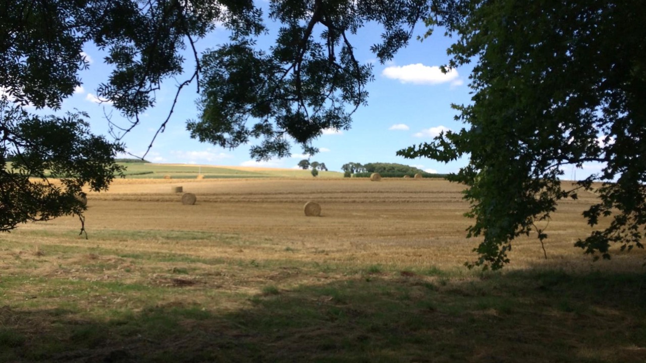Photo of Outdoor in Les Forges