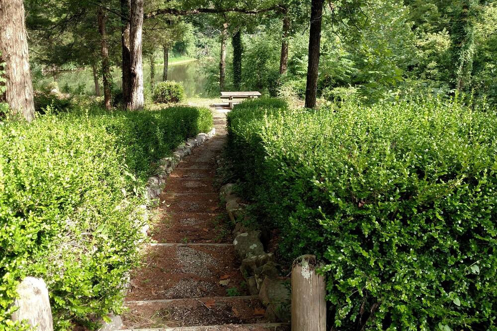 Photo of Outdoor in Pencil Bluff