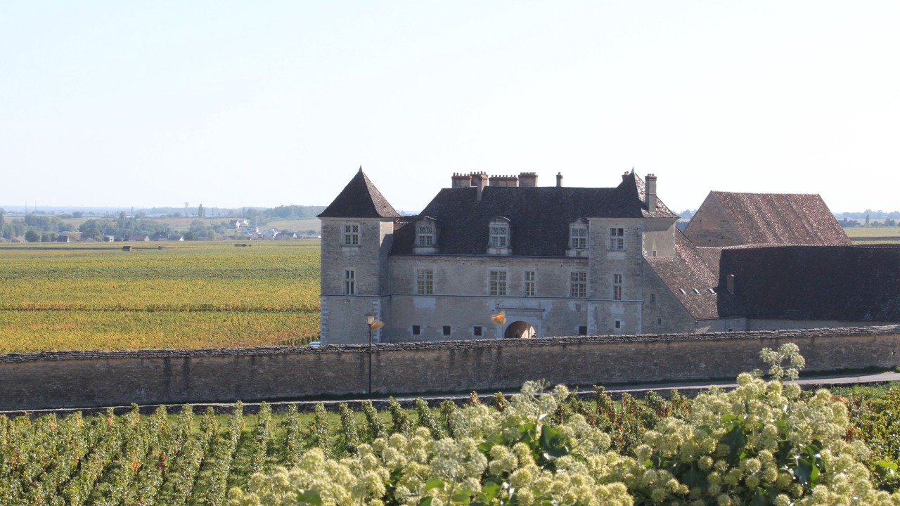 Photo of Outdoor in Gilly-les-Citeaux