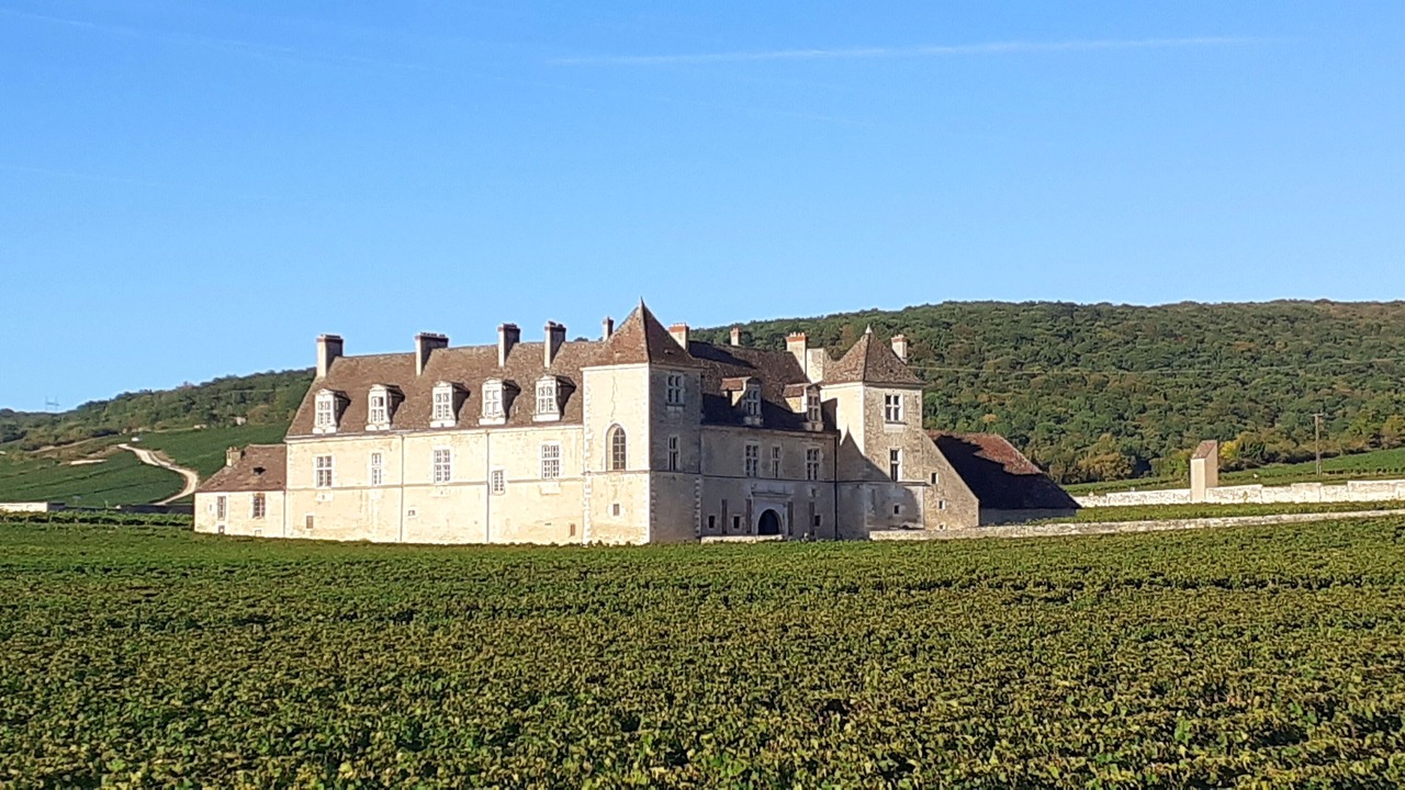 Photo of Others in Gilly-les-Citeaux