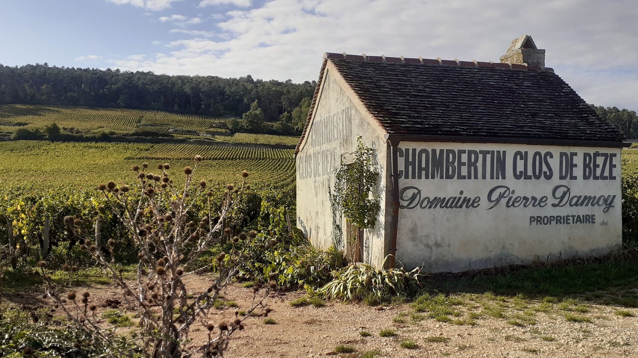 Photo of Others in Gilly-les-Citeaux