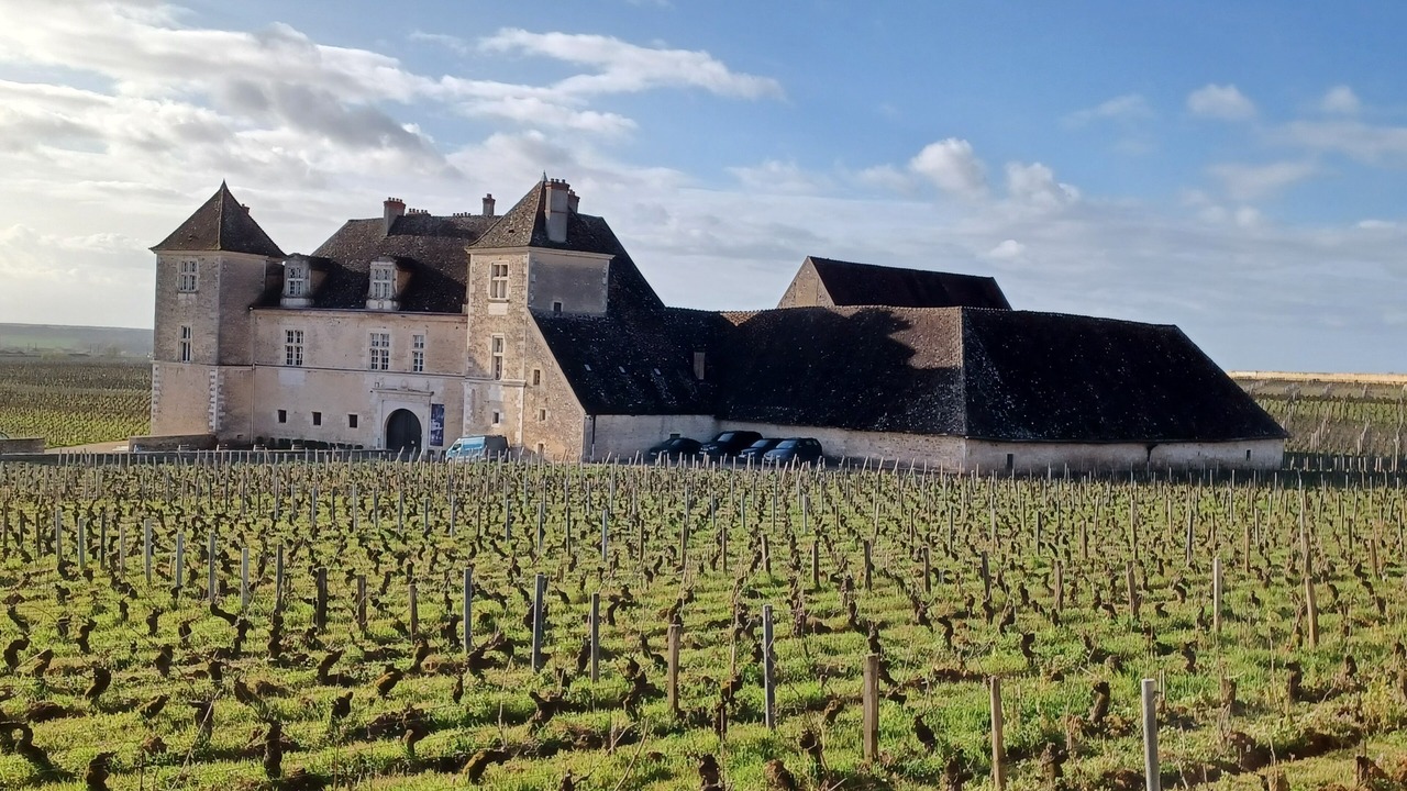 Photo of Others in Gilly-les-Citeaux