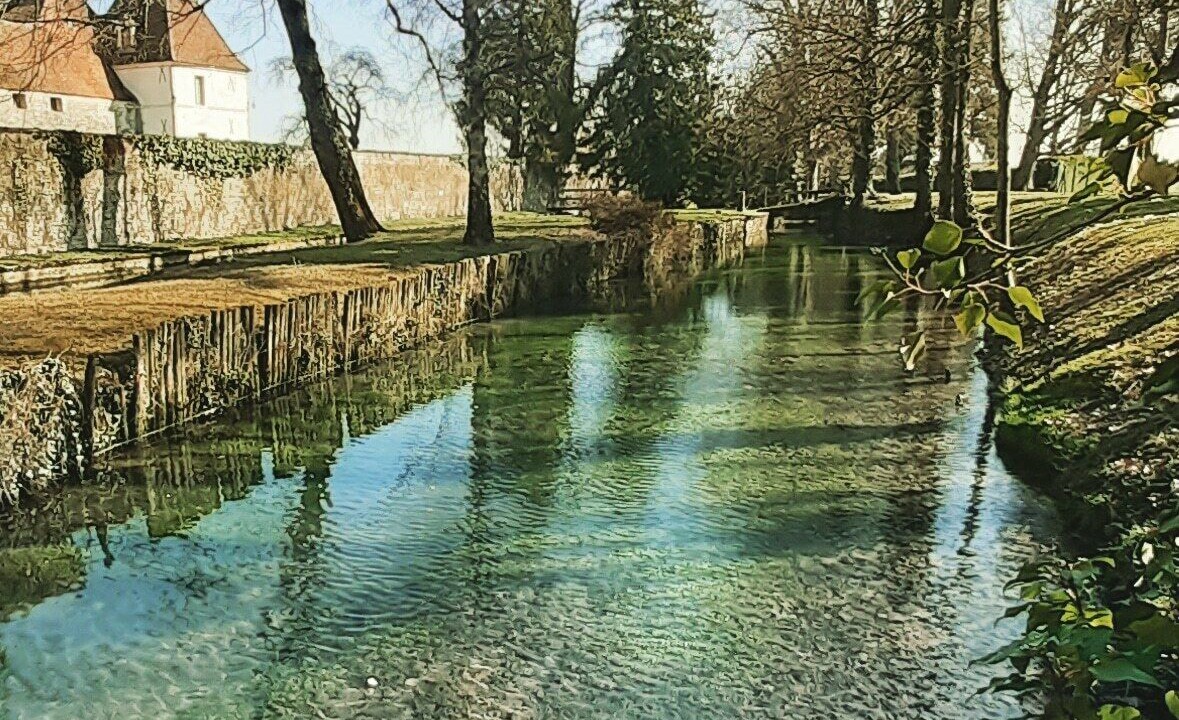 Photo of Others in Gilly-les-Citeaux