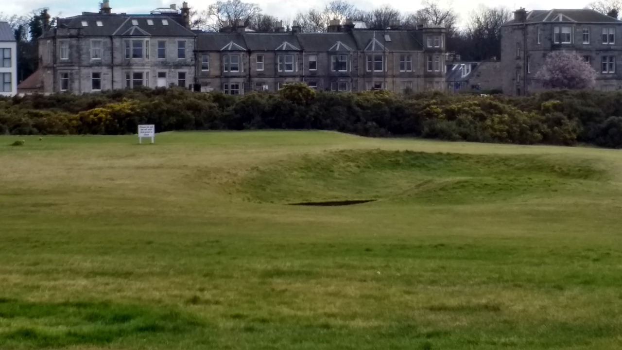 Photo of Others in Musselburgh