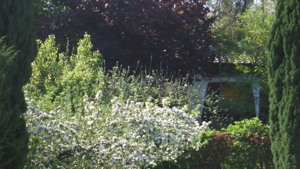 Photo of Outdoor in Wintzenheim-Kochersberg