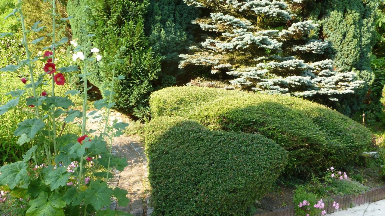 Photo of Outdoor in Wintzenheim-Kochersberg