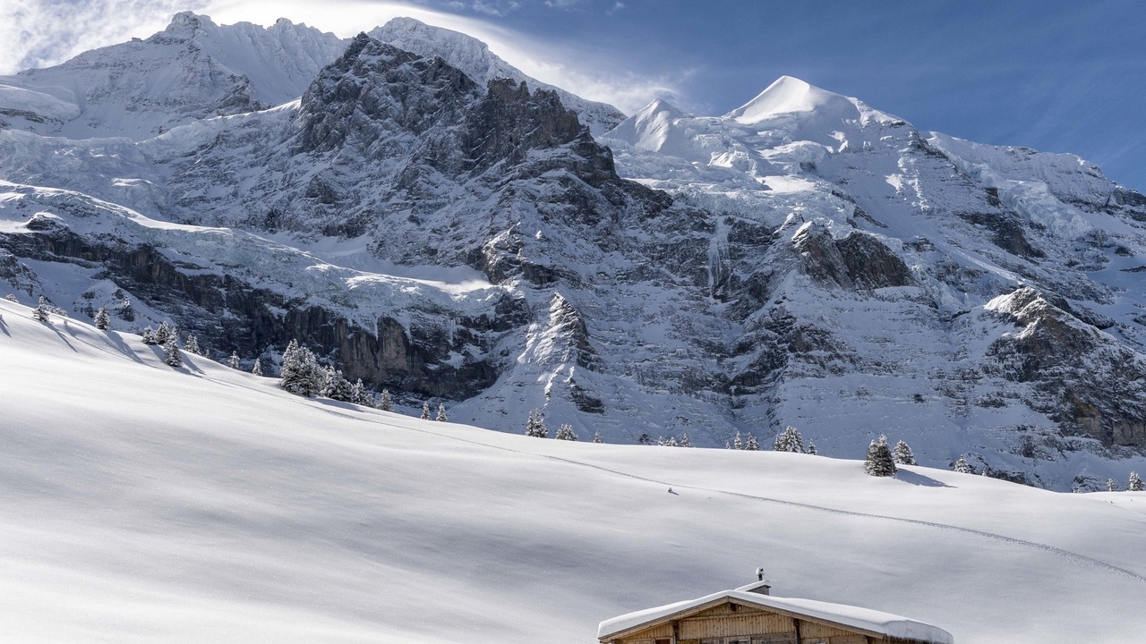 Photo of Others in Wengen