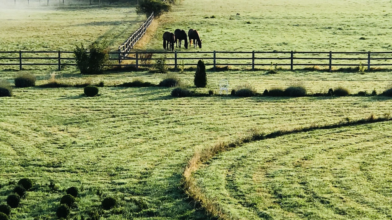 Photo of Bedroom in Berneuil-en-Bray