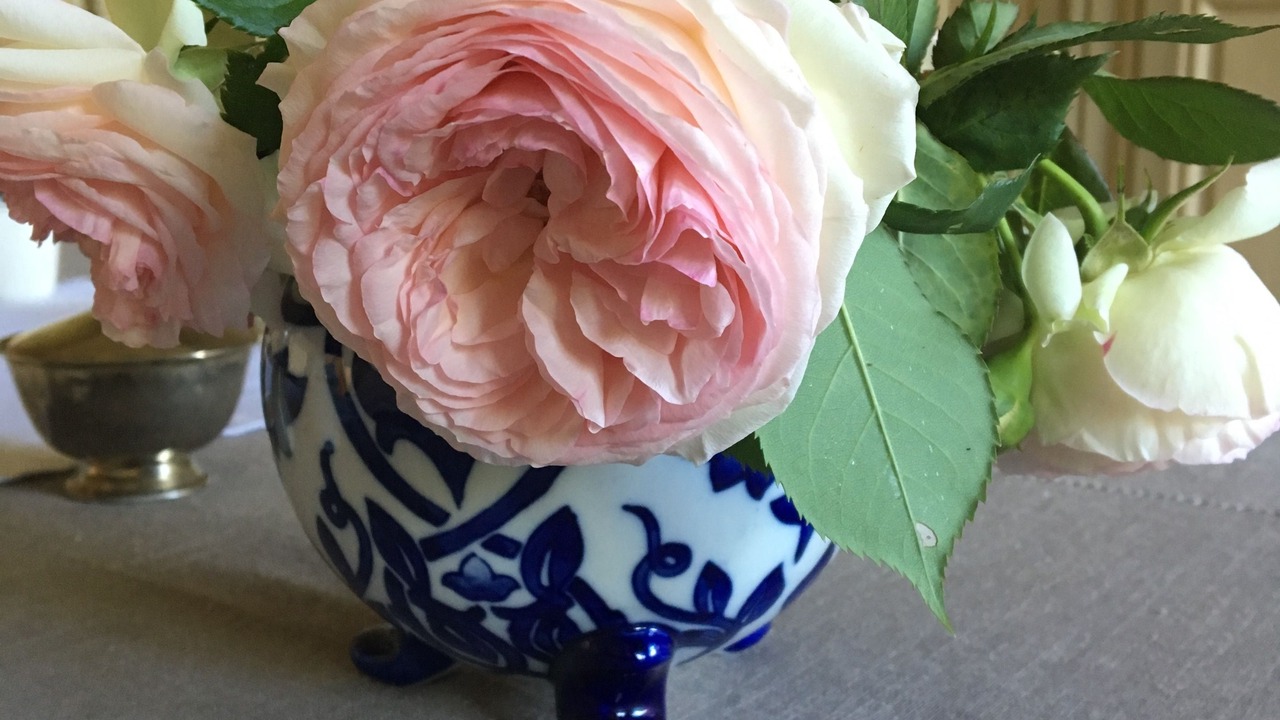 Photo of Others in Chatillon-sur-Seine