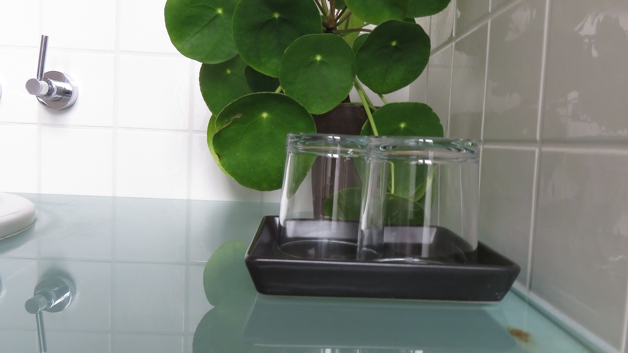 Photo of Others in Chatillon-sur-Seine