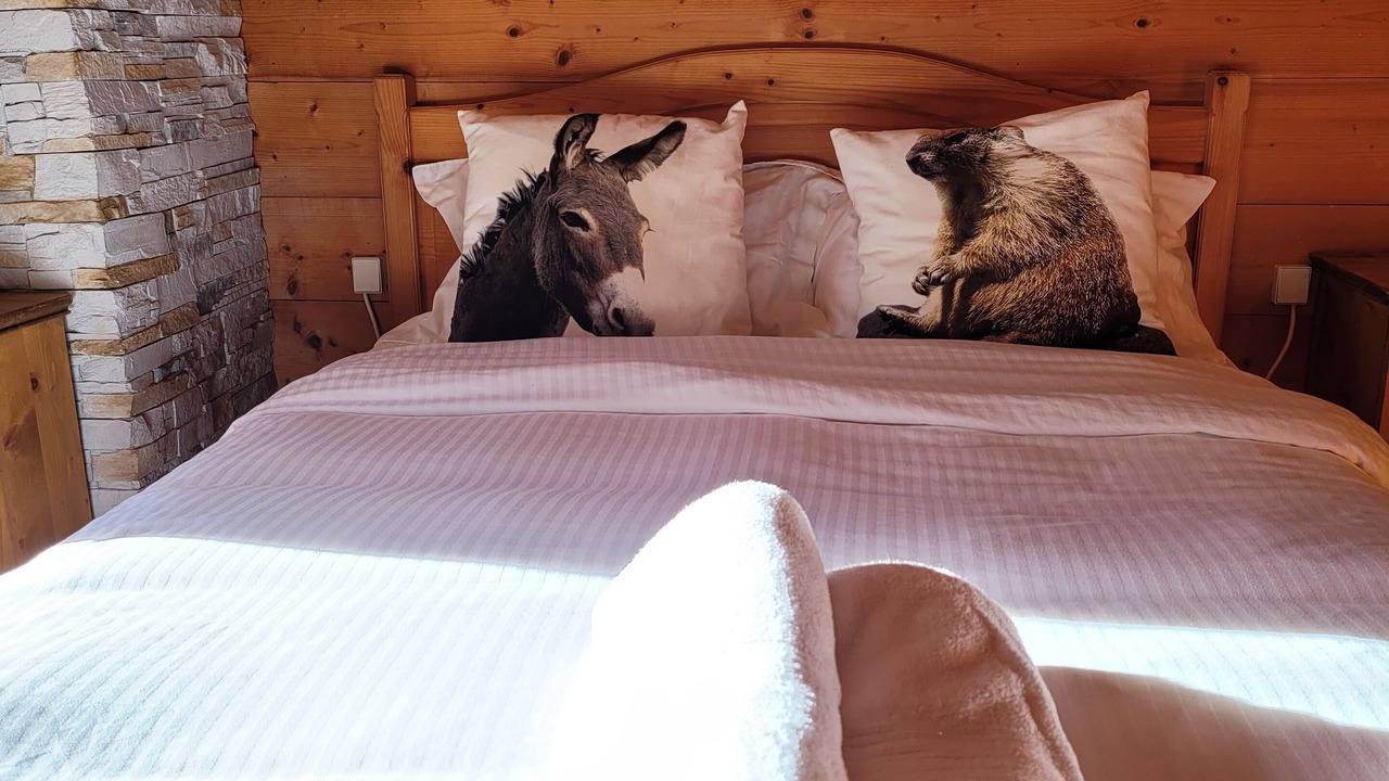 Photo of Others in La Chapelle-d'Abondance