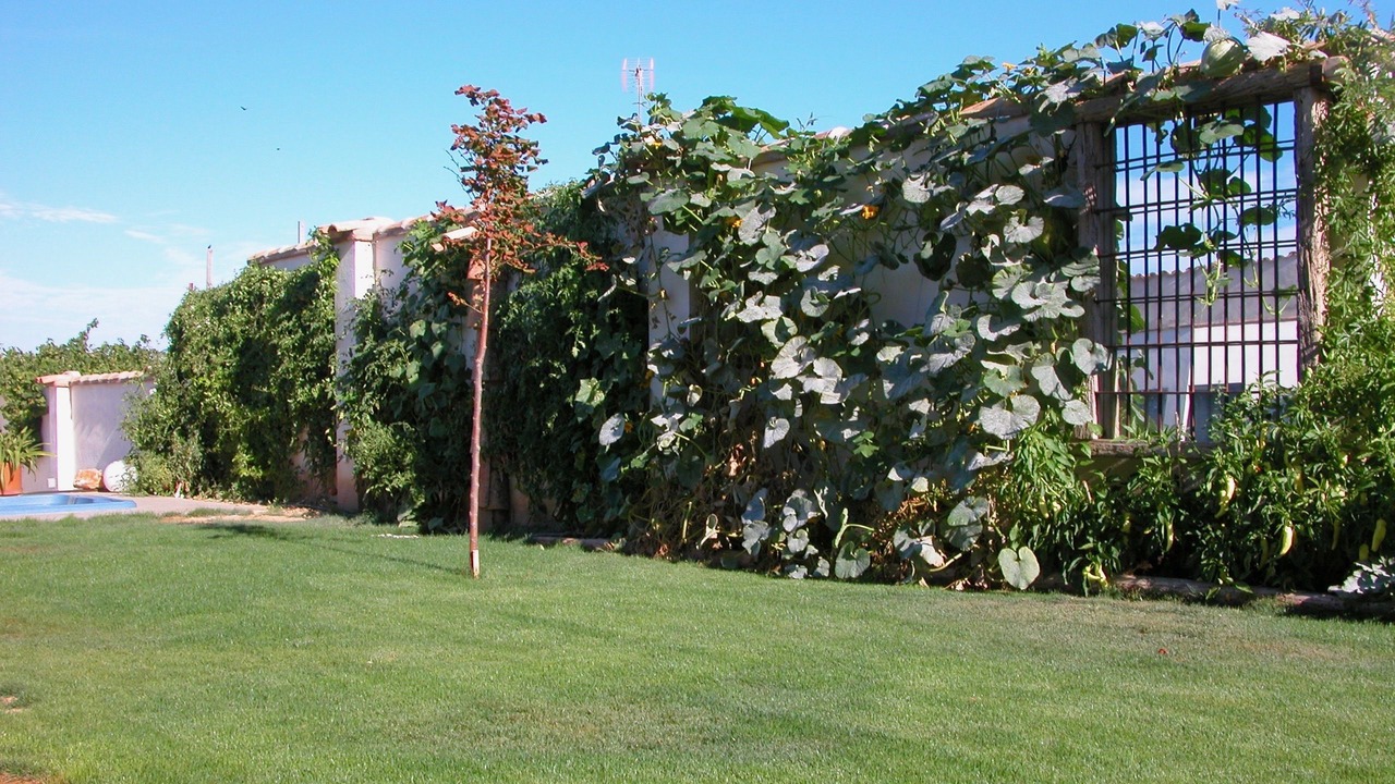 Photo of Outdoor in Sarinena