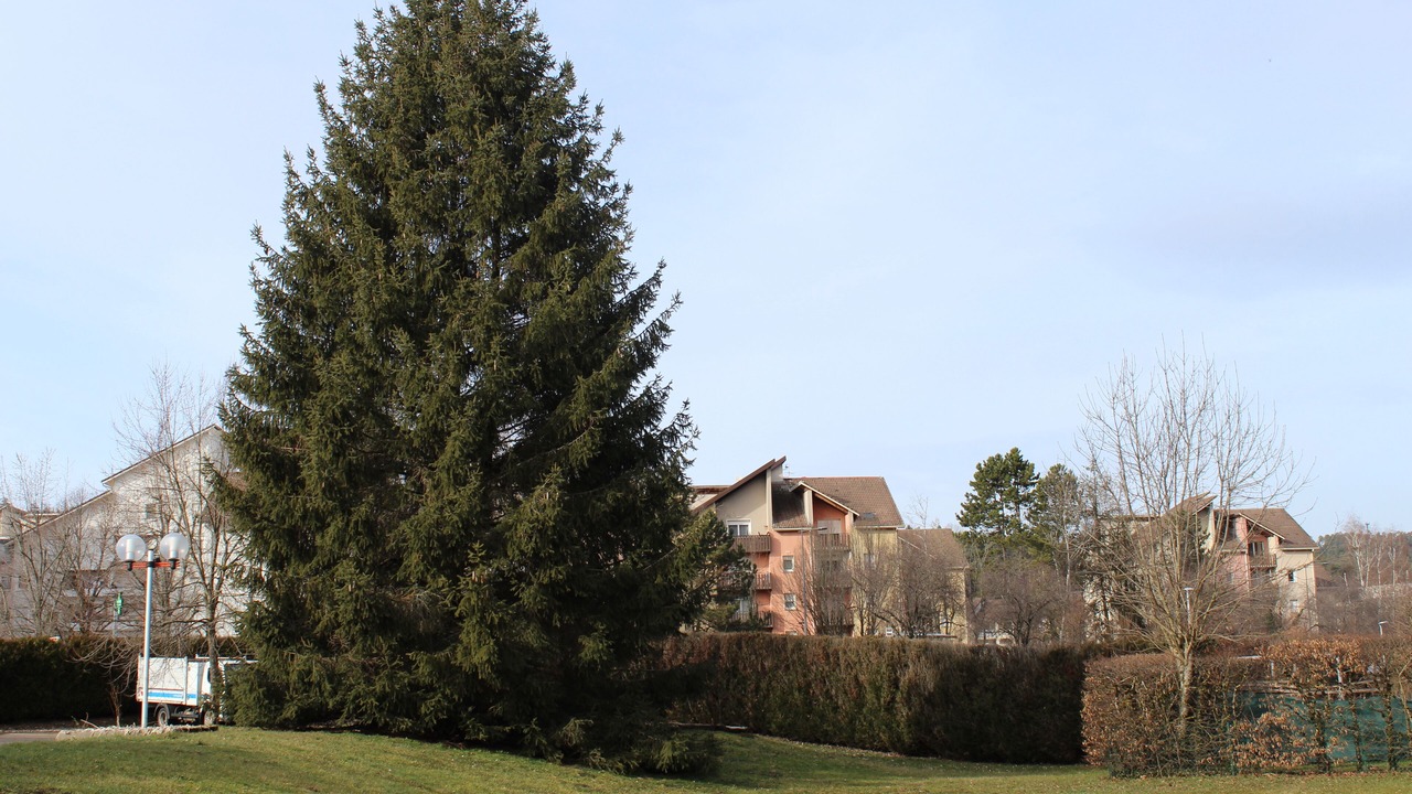 Photo of Outdoor in Bellignat