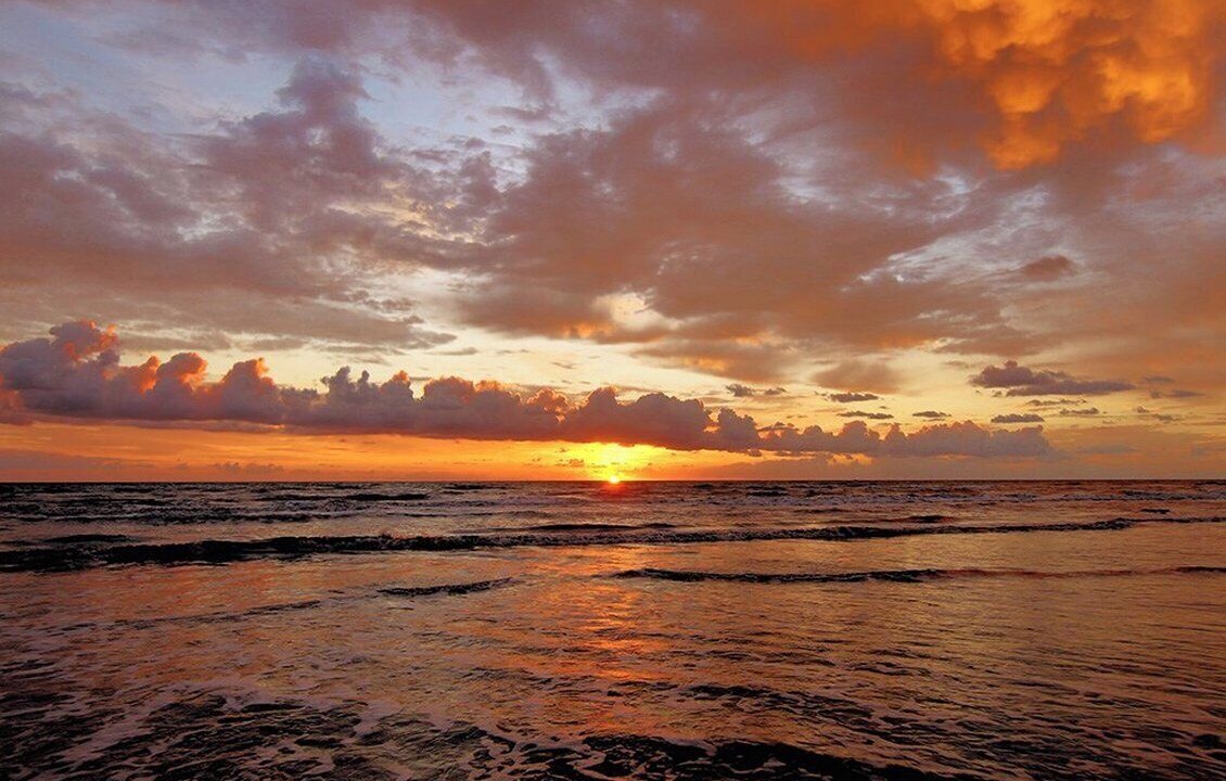 Photo of Others in Delray Beach