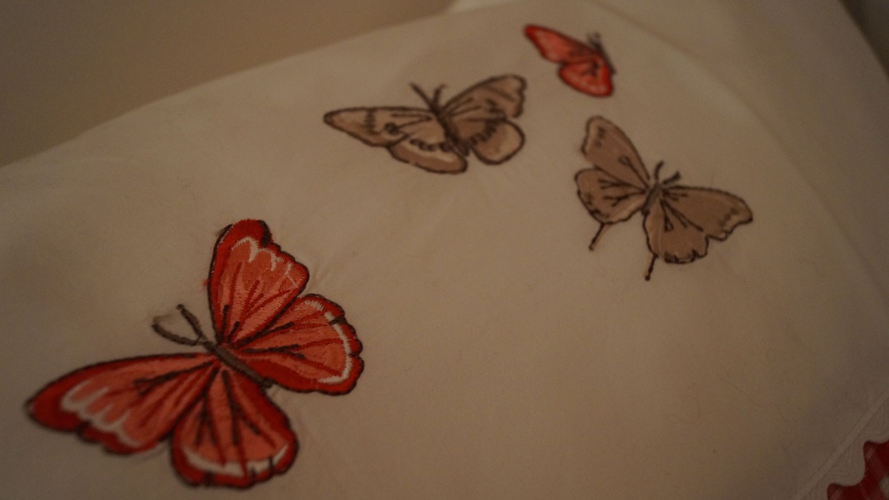 Photo of Bedroom in Les Fins