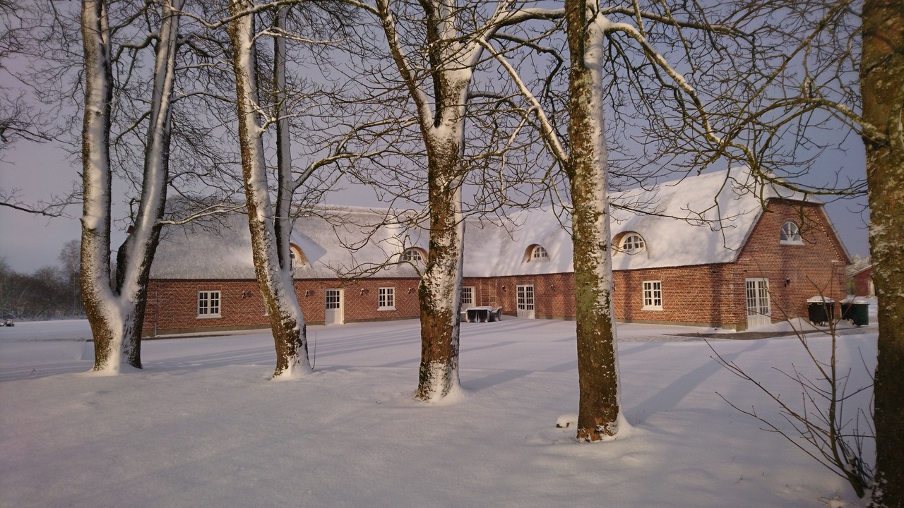 Photo of Outdoor in Billund