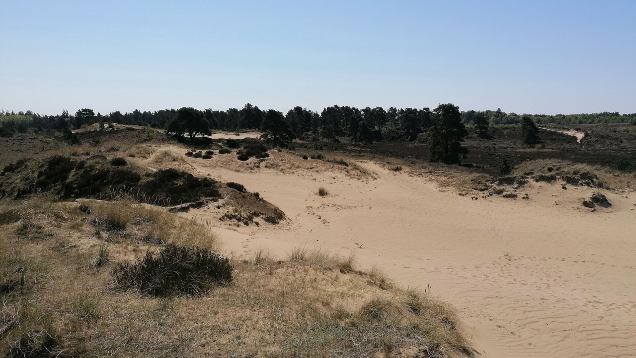 Photo of Others in Billund