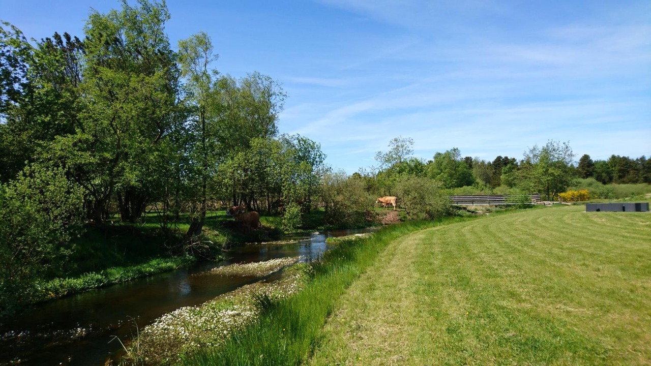 Photo of Outdoor in Billund