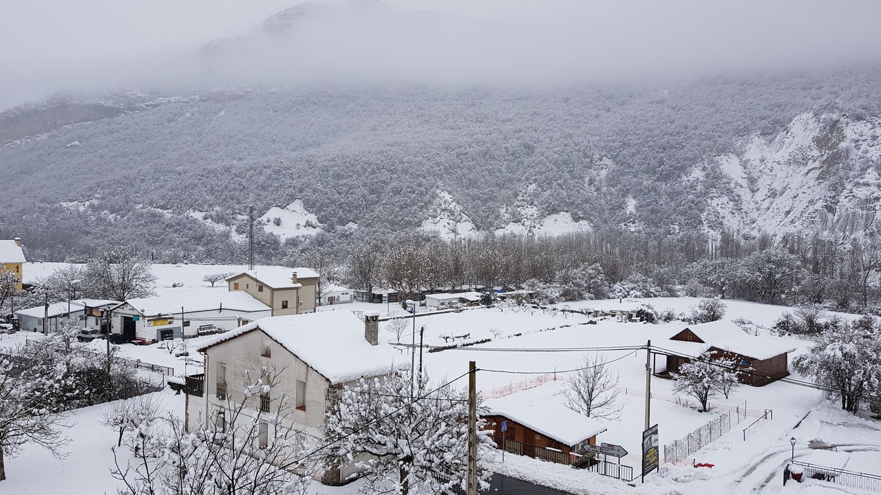 Photo of Outdoor in Campo