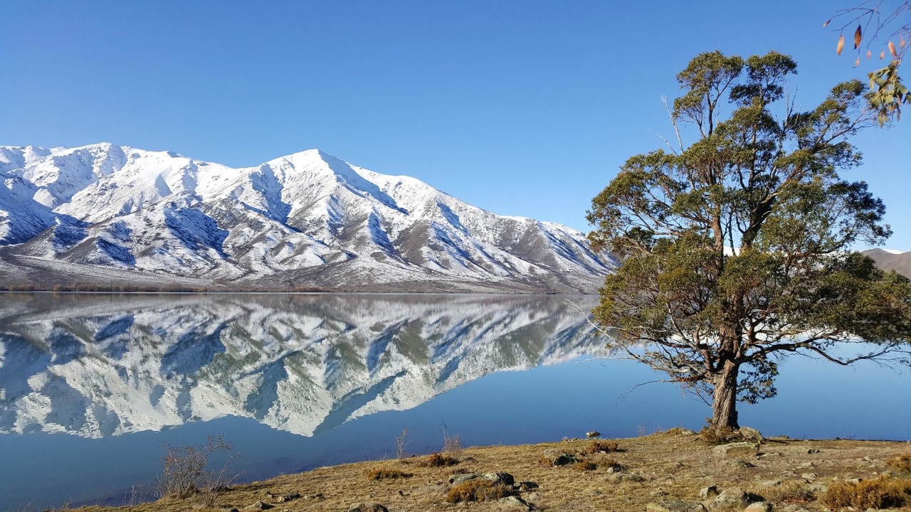 Photo of Others in Omarama