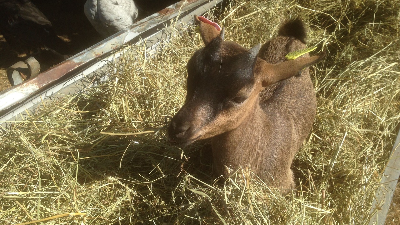 Photo of Others in Brigueil-le-Chantre