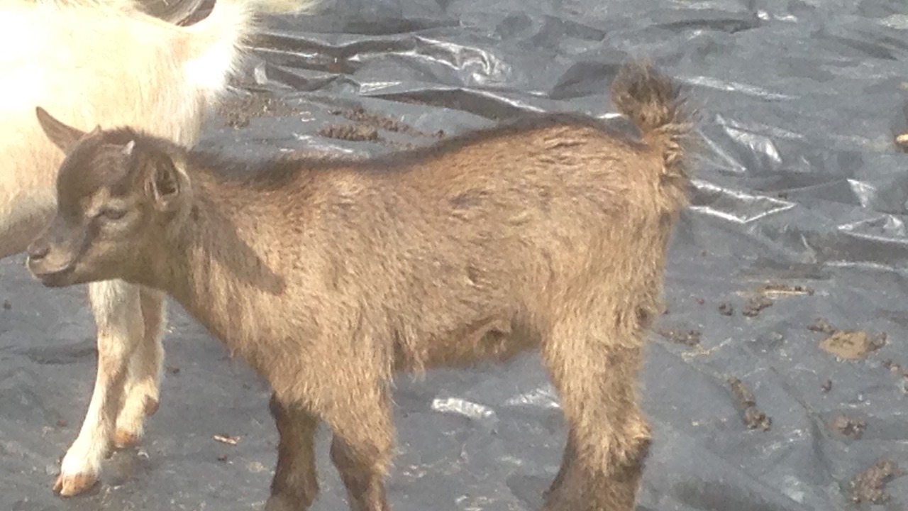 Photo of Others in Brigueil-le-Chantre