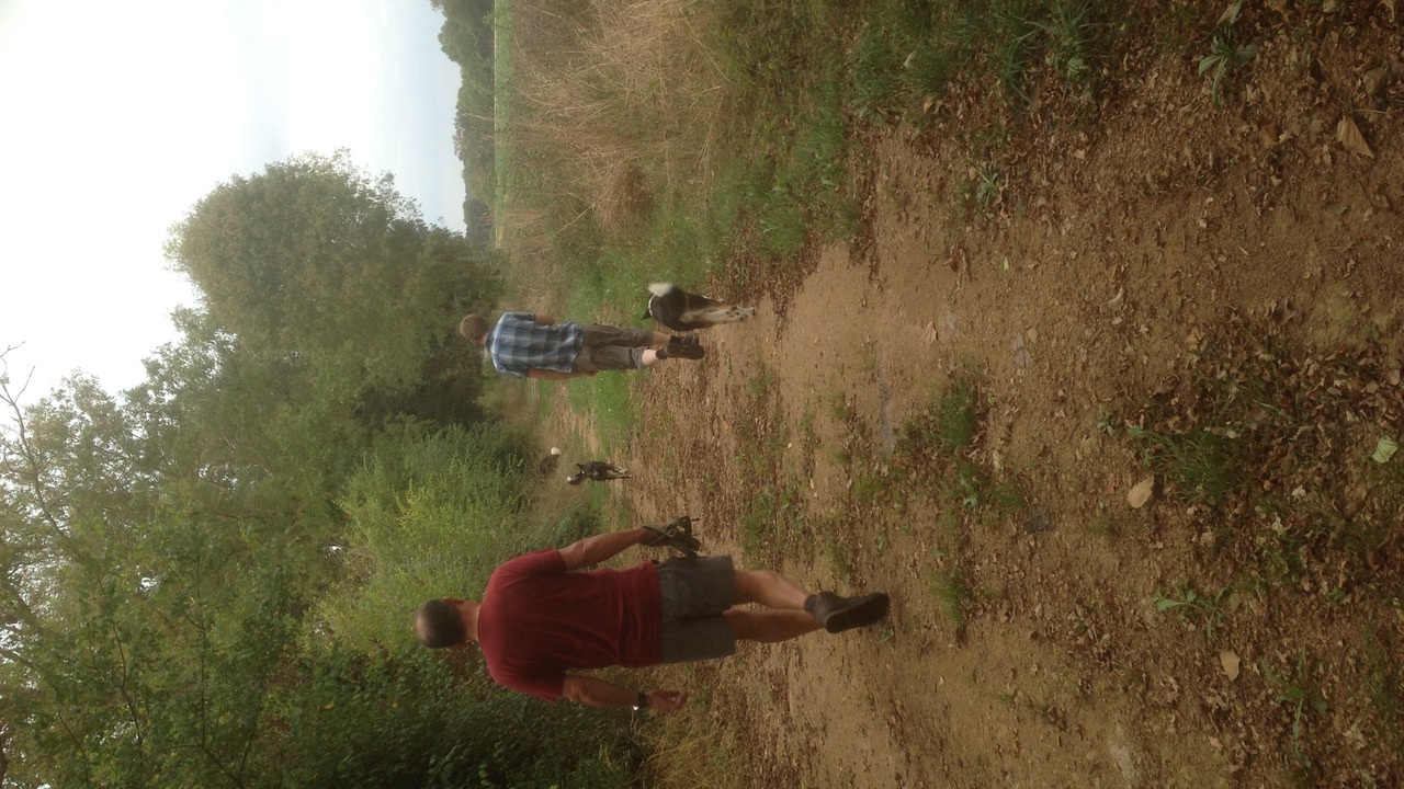 Photo of Others in Brigueil-le-Chantre