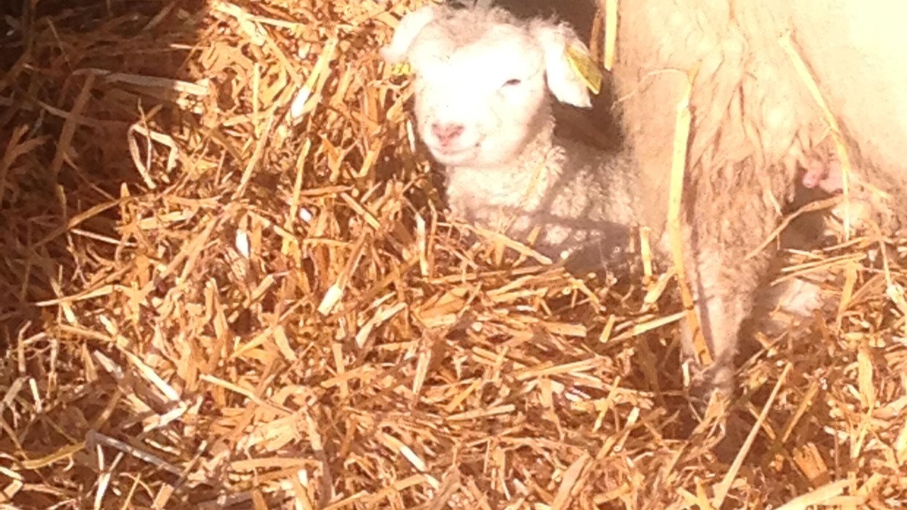 Photo of Others in Brigueil-le-Chantre