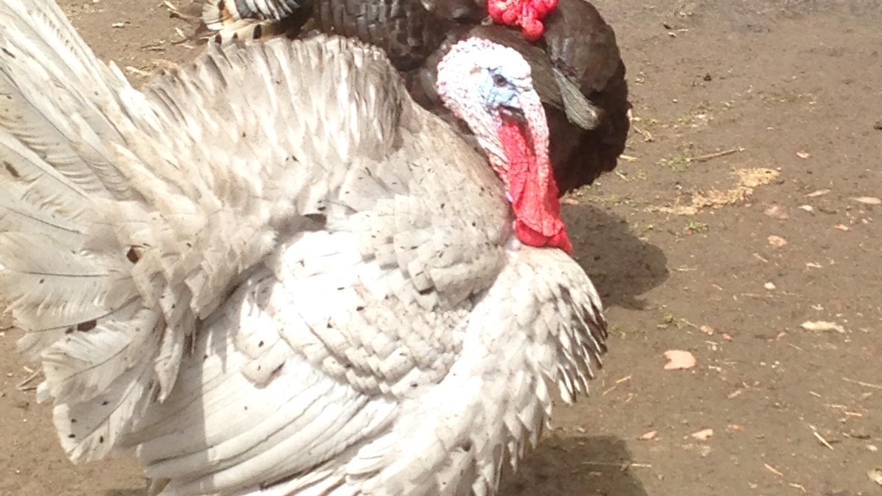 Photo of Outdoor in Brigueil-le-Chantre