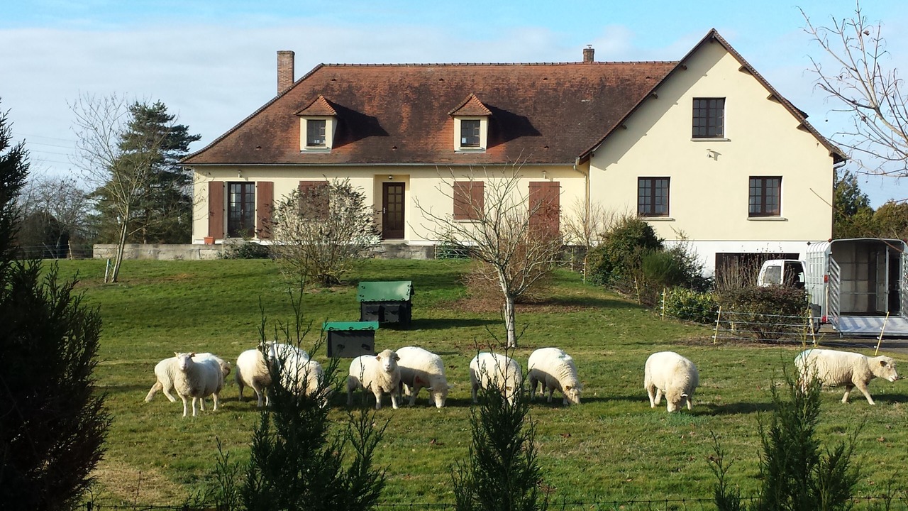 Photo of Outdoor in Brigueil-le-Chantre