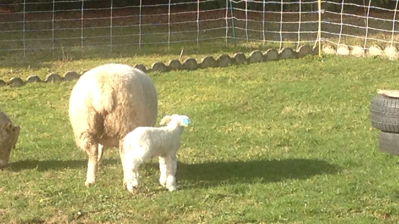 Photo of Outdoor in Brigueil-le-Chantre