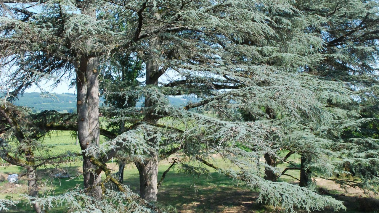 Photo of Outdoor in Maumusson-Laguian