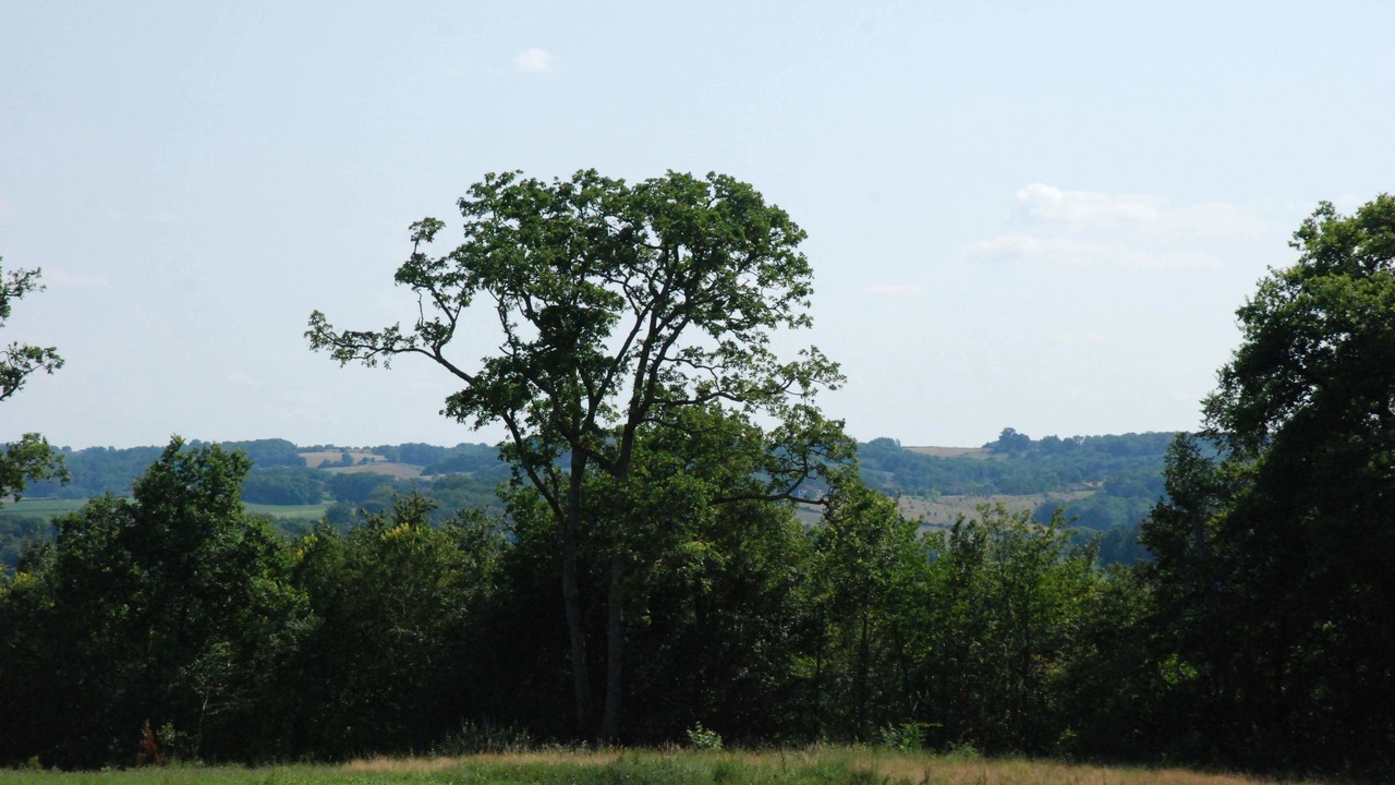 Photo of Outdoor in Maumusson-Laguian