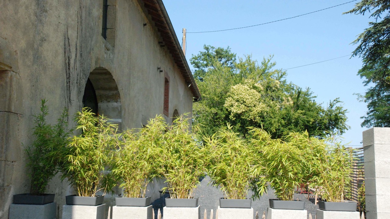 Photo of Outdoor in Maumusson-Laguian