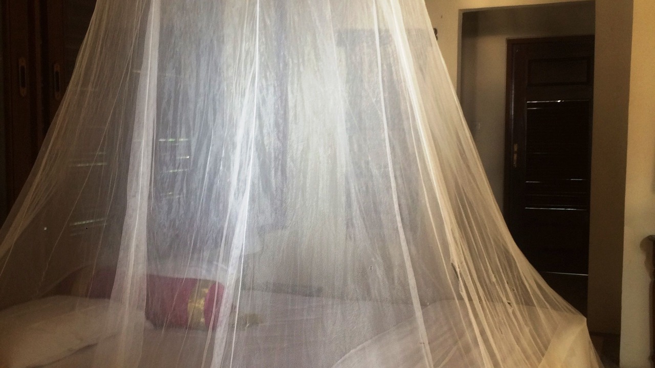 Photo of Others in Munduk