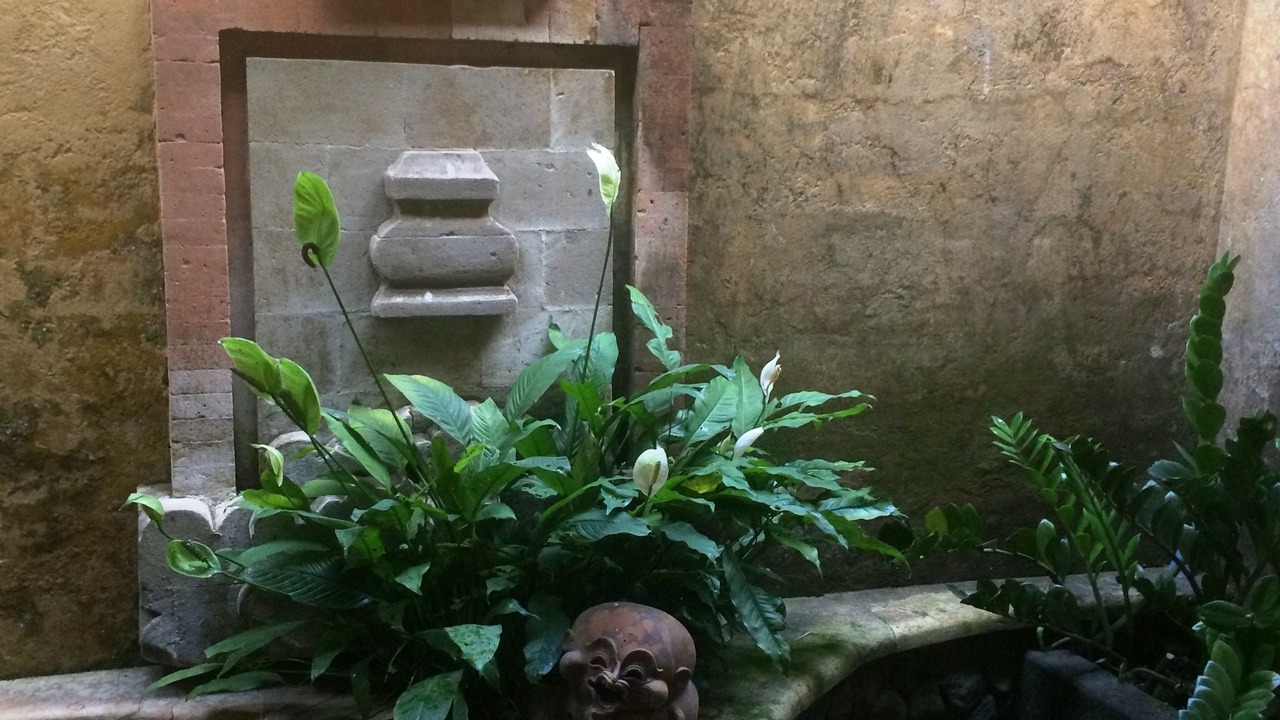 Photo of Others in Munduk