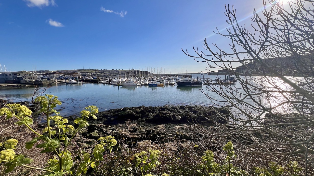 Photo of Others in Plymouth