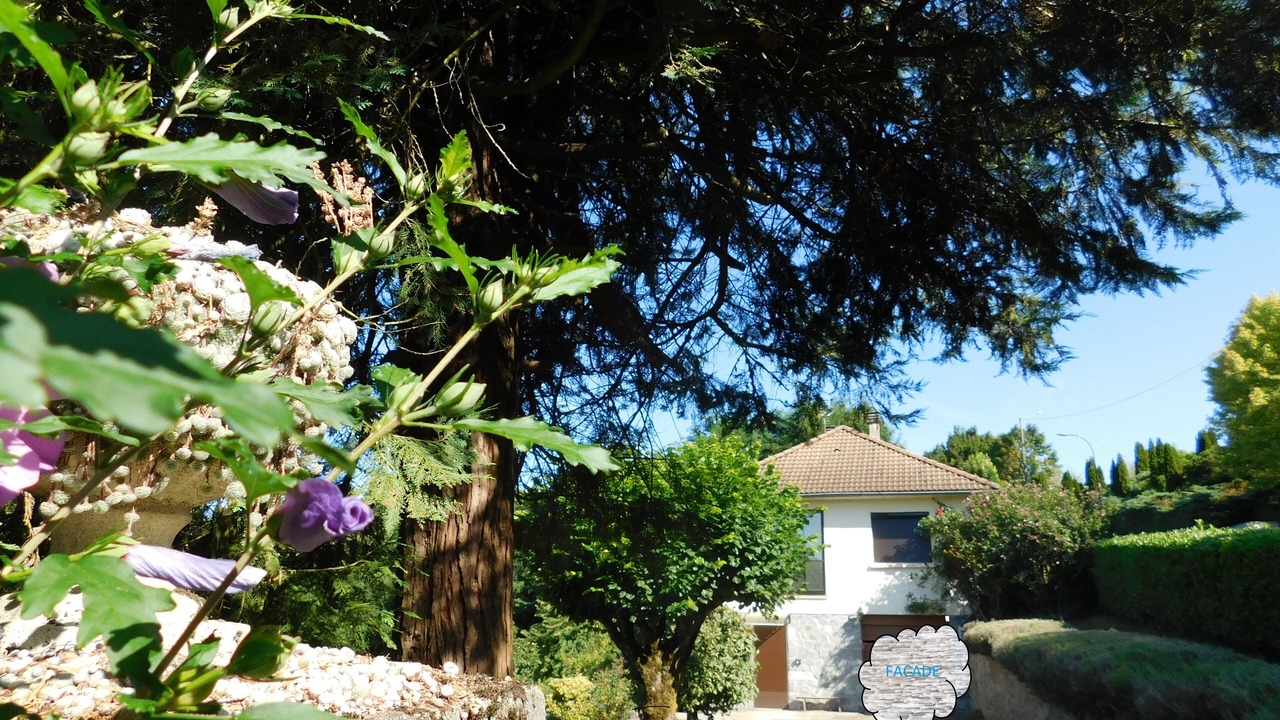 Photo of Outdoor in Naves