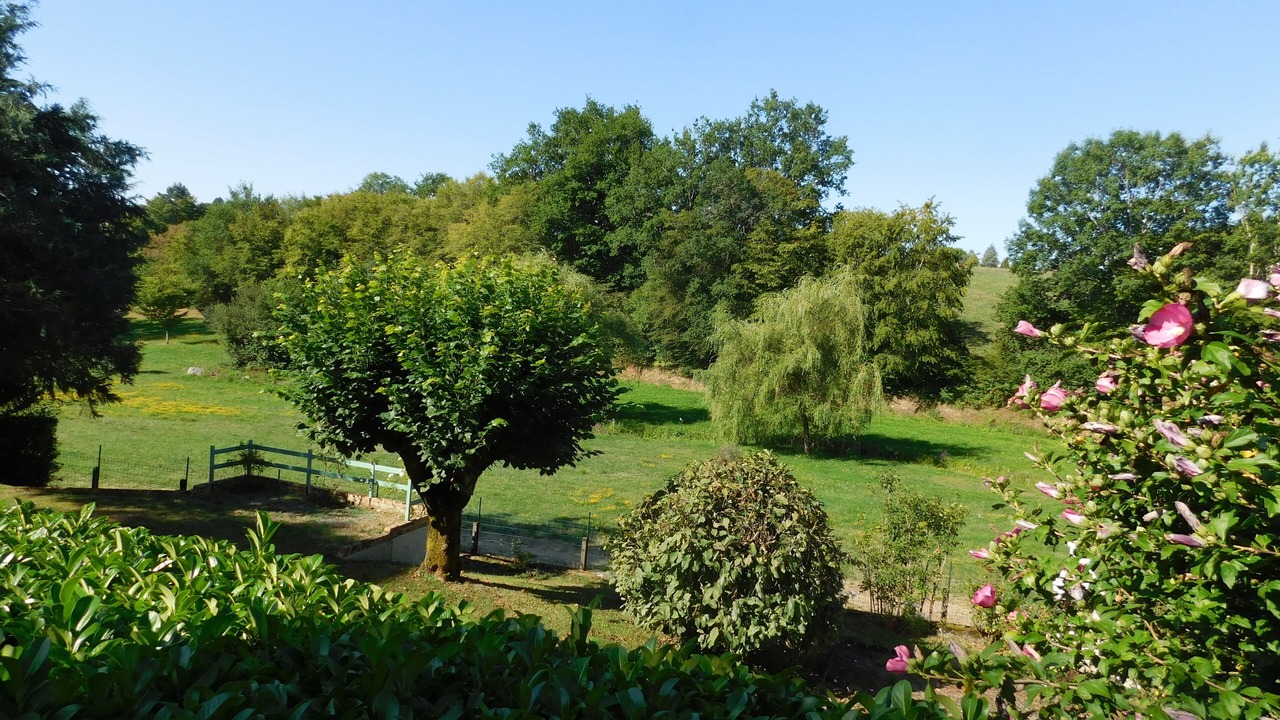 Photo of Others in Naves