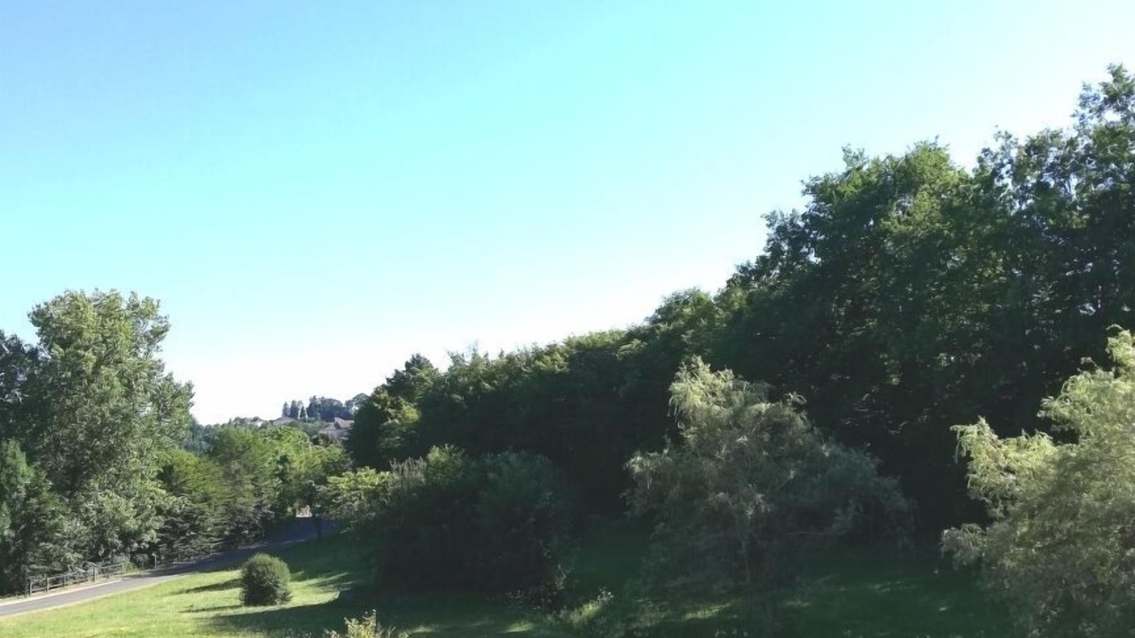 Photo of Outdoor in Naves