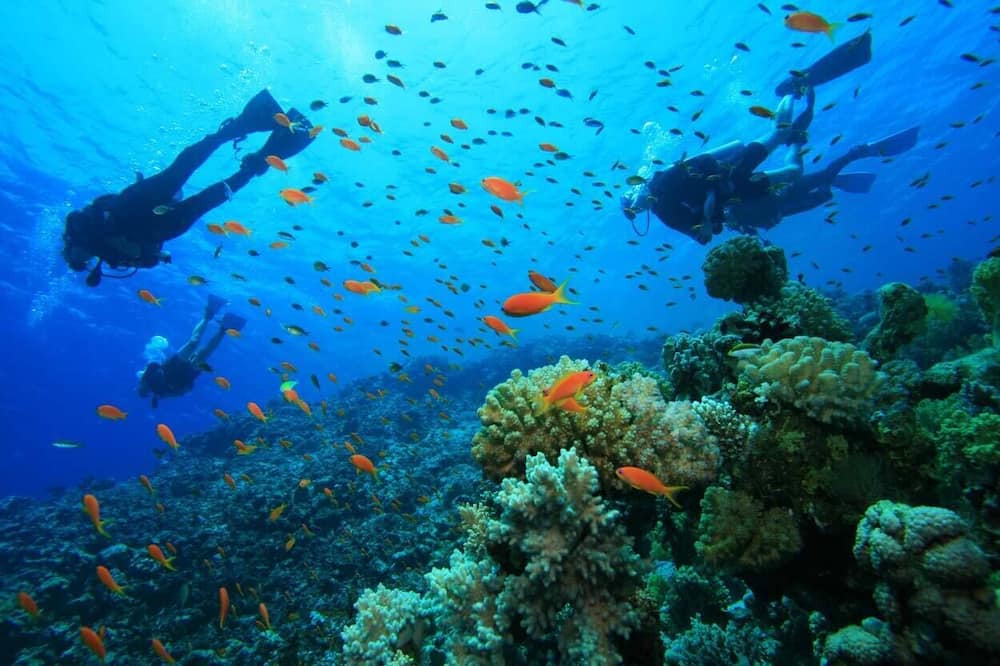Photo of Others in Gili Trawangan