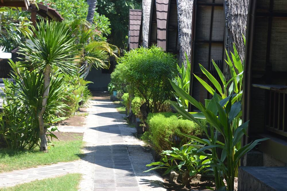 Photo of Outdoor in Gili Trawangan