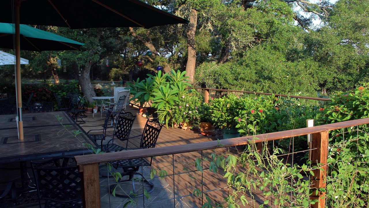Photo of Outdoor in Wimberley