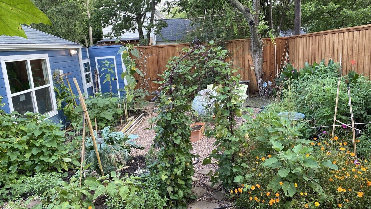 Photo of Outdoor in Dallas