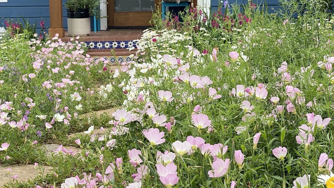 Photo of Outdoor in Dallas
