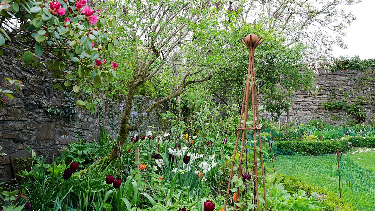 Photo of Outdoor in Bampton